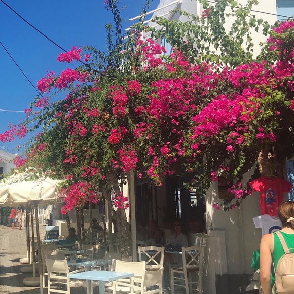 Meet your Posher, Anna-maria - Picture 1 of 1